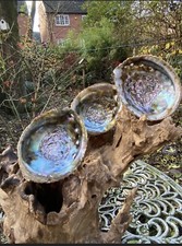 Abalone Shell Mother of Pearl Paua New Zealand Smudging Incense Etc