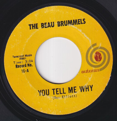 The BEAU BRUMMELS * You Tell Me Why * 1965 USA GARAGE FOLK ROCK 45 * Listen!