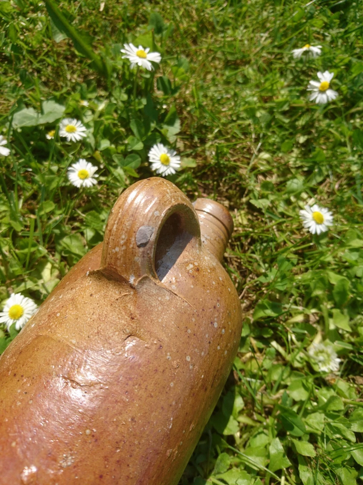 Bild 13 von 19