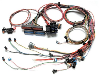 Painless Wiring 60509 Fuel Injection Wiring Harness | eBay