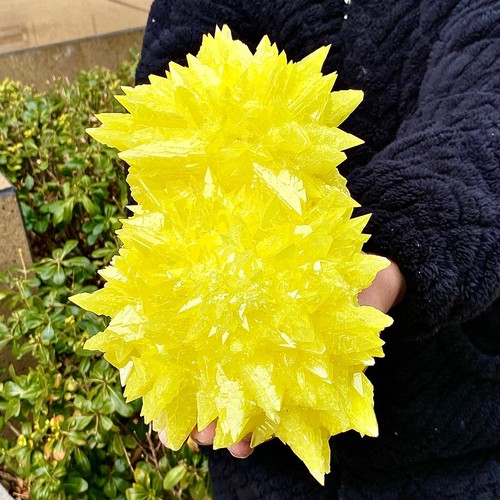 5.26LB Rare yellow sulfur crystal quartz crystal mineral specimen - 第 4/13 張圖片