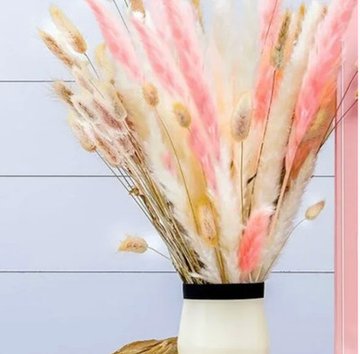 Dried Pampas Grass | Set of Soft White Pampas, Pink Pampas, and Bunny Tails Natu