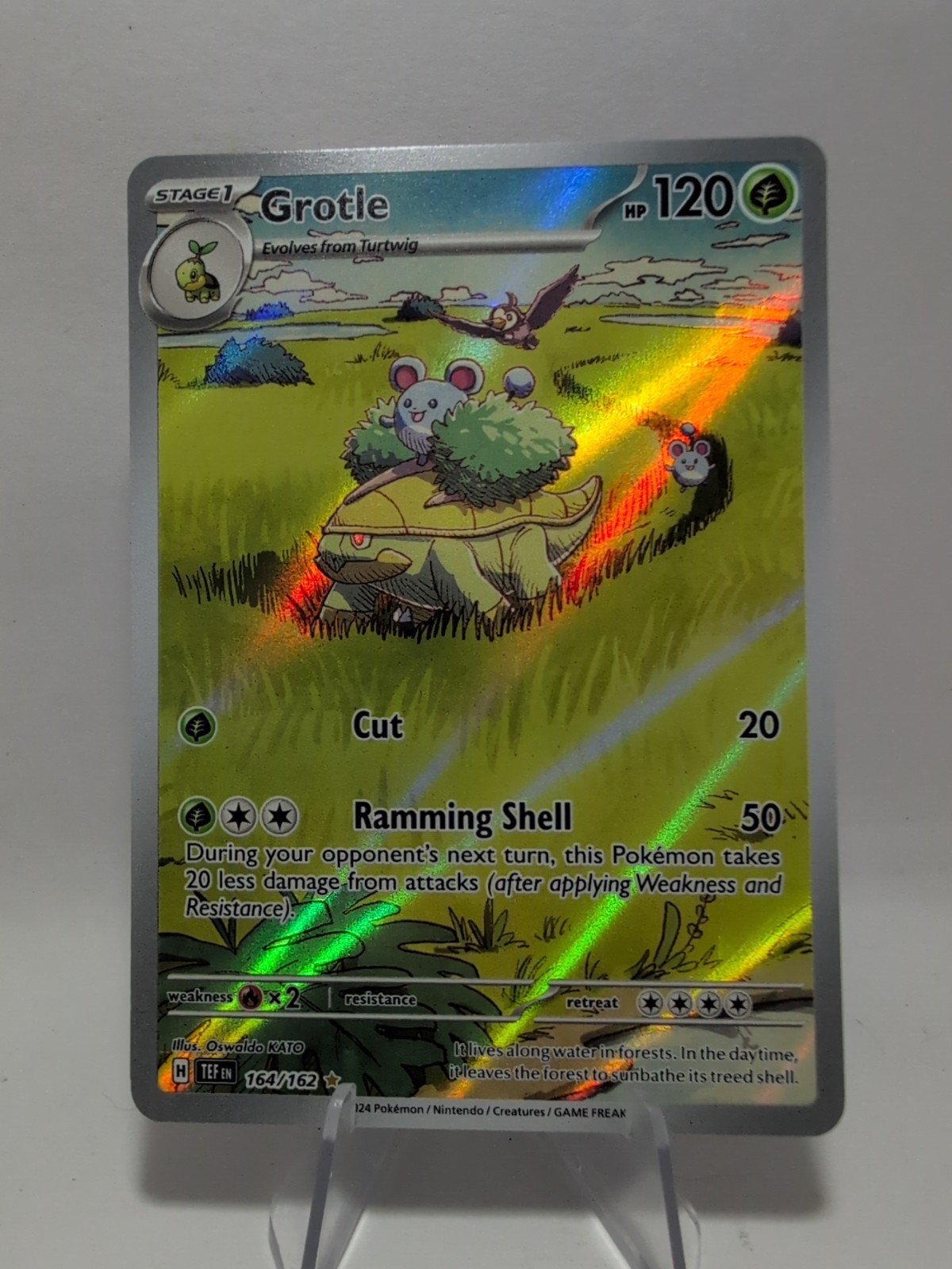 Grotle 164/162 Temporal Forces Illustration Rare Card Pokemon TCG