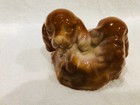 Fenton Chocolate Slag Cocker Spaniel Puppies #198/300-Cuddling Together