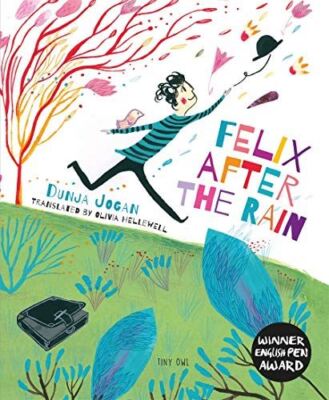 Felix After the Rain (Hope in a Scary World) by Dunja Jogan (New)