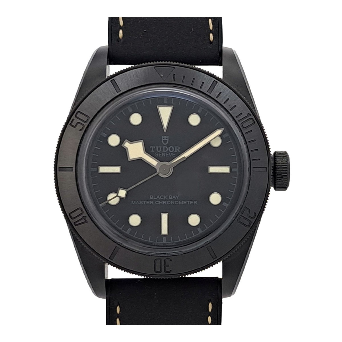 Tudor Black Bay 79210C
