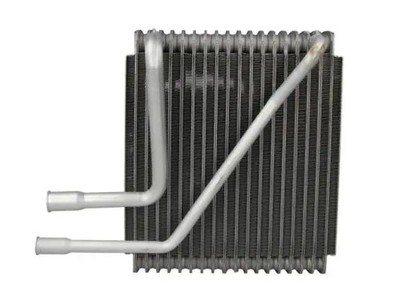 Verdampfer, Klimaanlage KTT150003 THERMOTEC für VW FORD SEAT