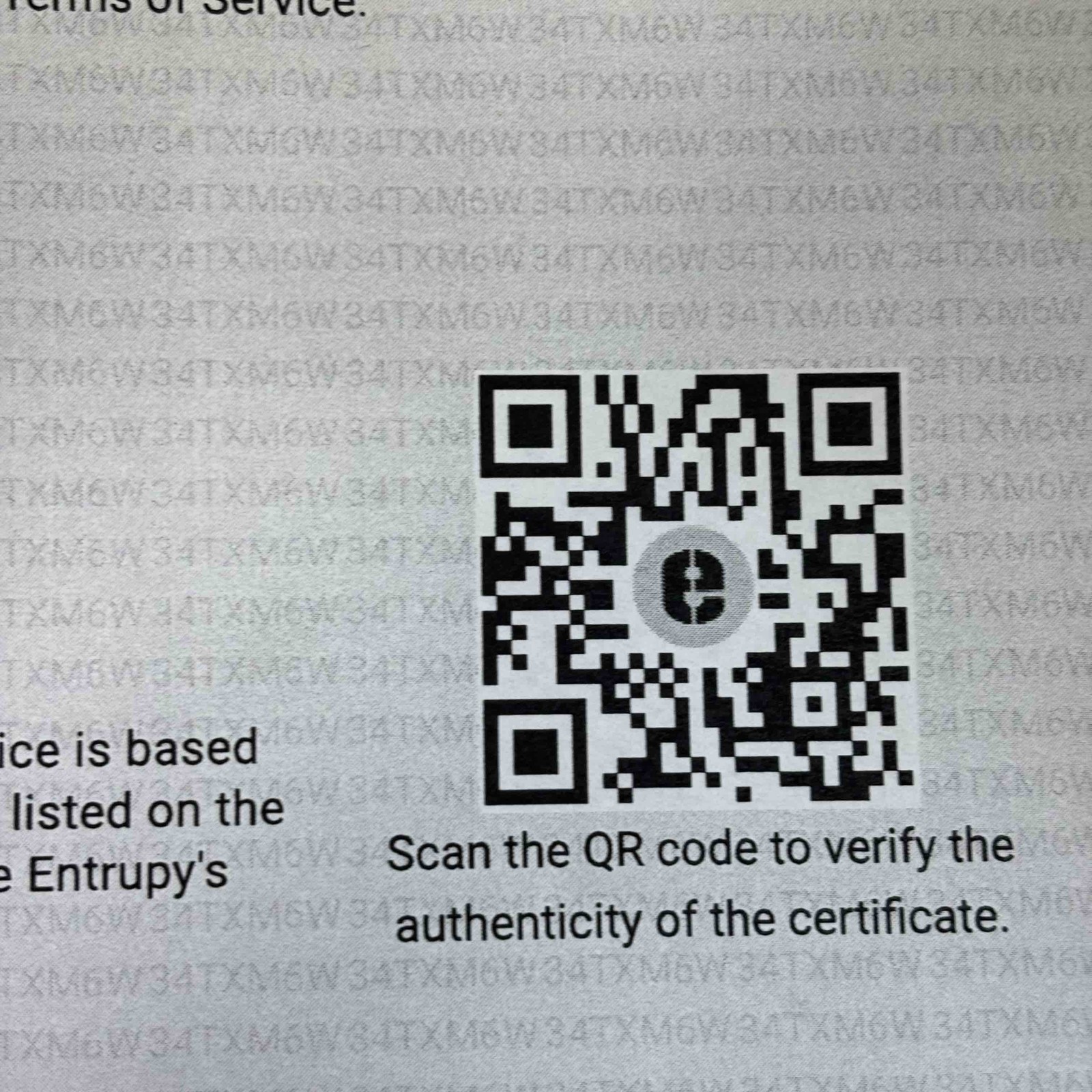 Prada Python Large Double Bag Roccia Blue/Tan Sna… - image 22