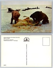 Postal AK de oso polar desollador esquimales región ártica Alaska