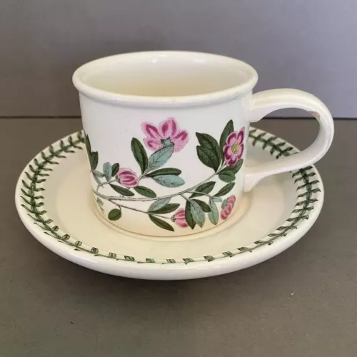 Vintage Portmeirion Botanic Garden Rhododendron Cup & Saucer - Old Shield Mark