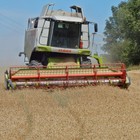Bild 40 von 42