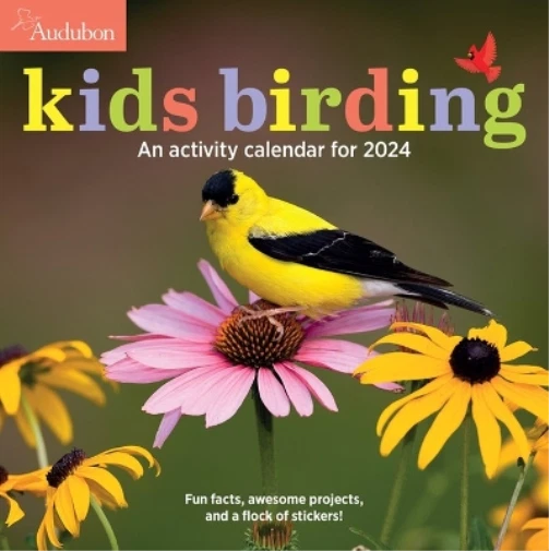 Kid'S Awesome Activity Wall Calendar 2025 Betta Charlot