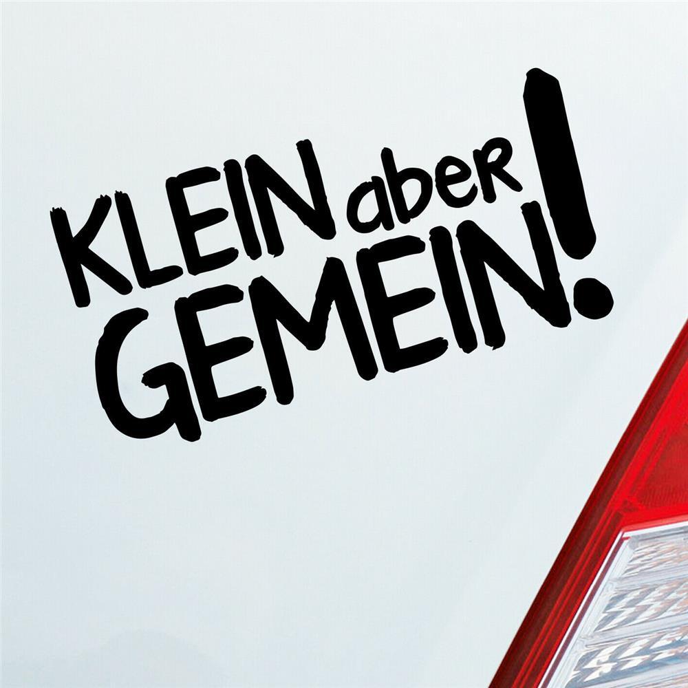 Bild 7 von 24