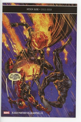 BLACK PANTHER VS. DEADPOOL #3 NEAR MINT 2019 RYAN BENJAMIN COVER MARVEL b-167