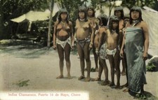 argentina, CHACO, Indias Chamacoco, Group Nude Indian Women (1910s) Postcard