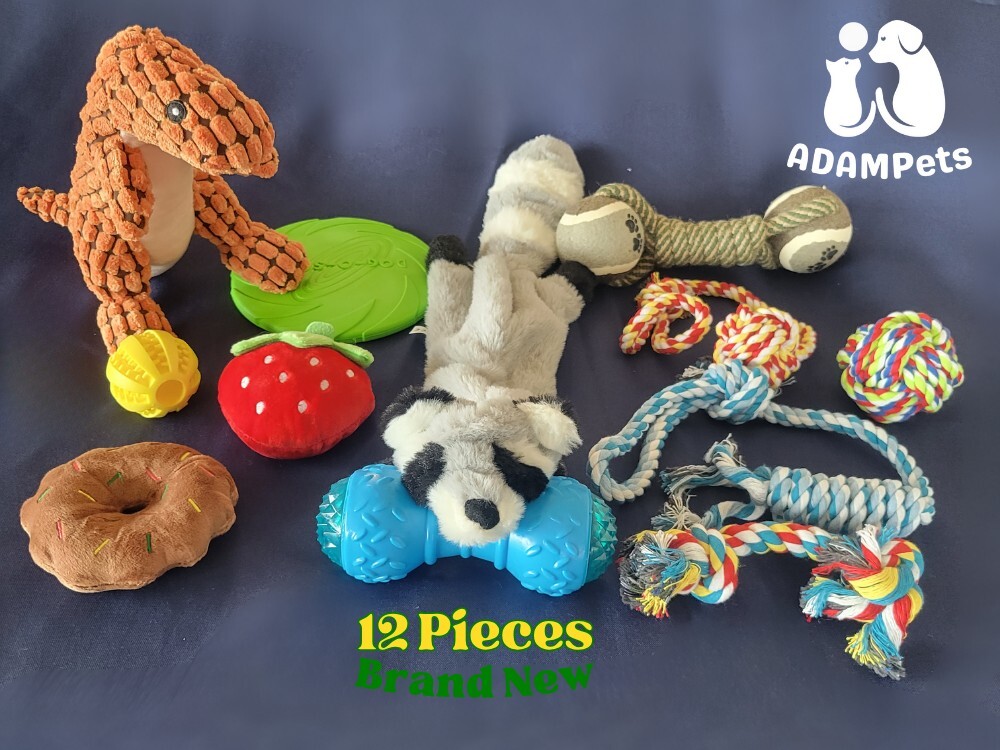 Box of dog toys, perfect gift for small & medium dogs. Items are all brand new.