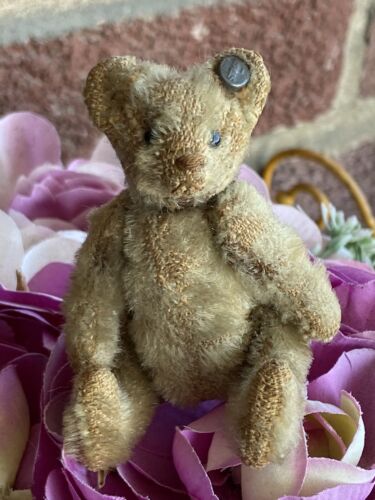Steiff früher antiker Mohair Mini Bär 3,5" lang F Knopf selten Vorkrieg einmal weiß? - Bild 4 von 16