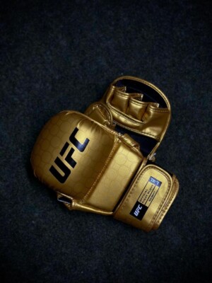 UFC MMA Shooter (Sparing) Fight Leather Gloves | eBay