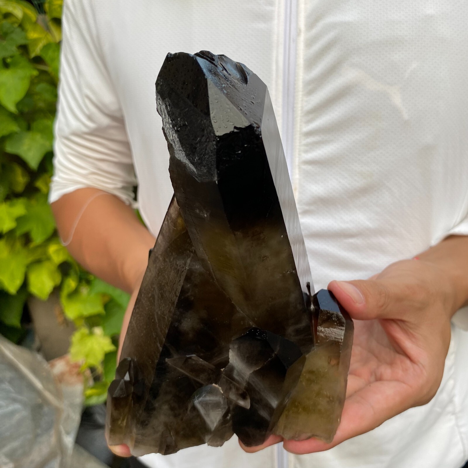 4lb Natural Black Smoky Quartz Crystal Cluster  Specimen healing