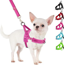 No Pull Small Dog Harness  Leash Set, Puppy Soft Vest Harness Neck  Chest - XS
