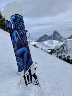 Lib Tech Jamie Lynn Dagmar Snowboard 160cm 