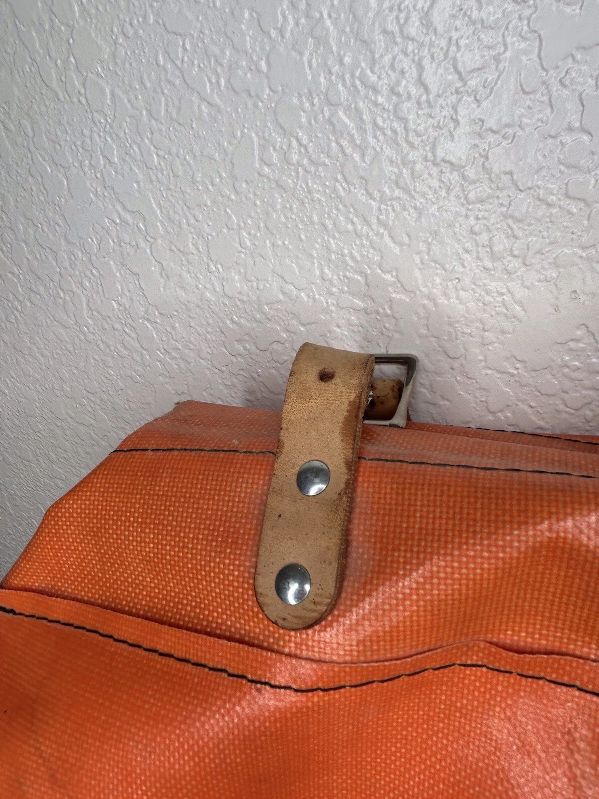 Picture 12 of 19
