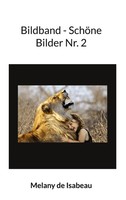 Bildband - SchöNe Bilder Nr. 2 Melany De Isabeau Taschenbuch 84 S. Deutsch 2022