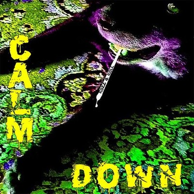 Audio Cd - Rozz & Roll - Calm Down  - Elevate Records -D- Neu