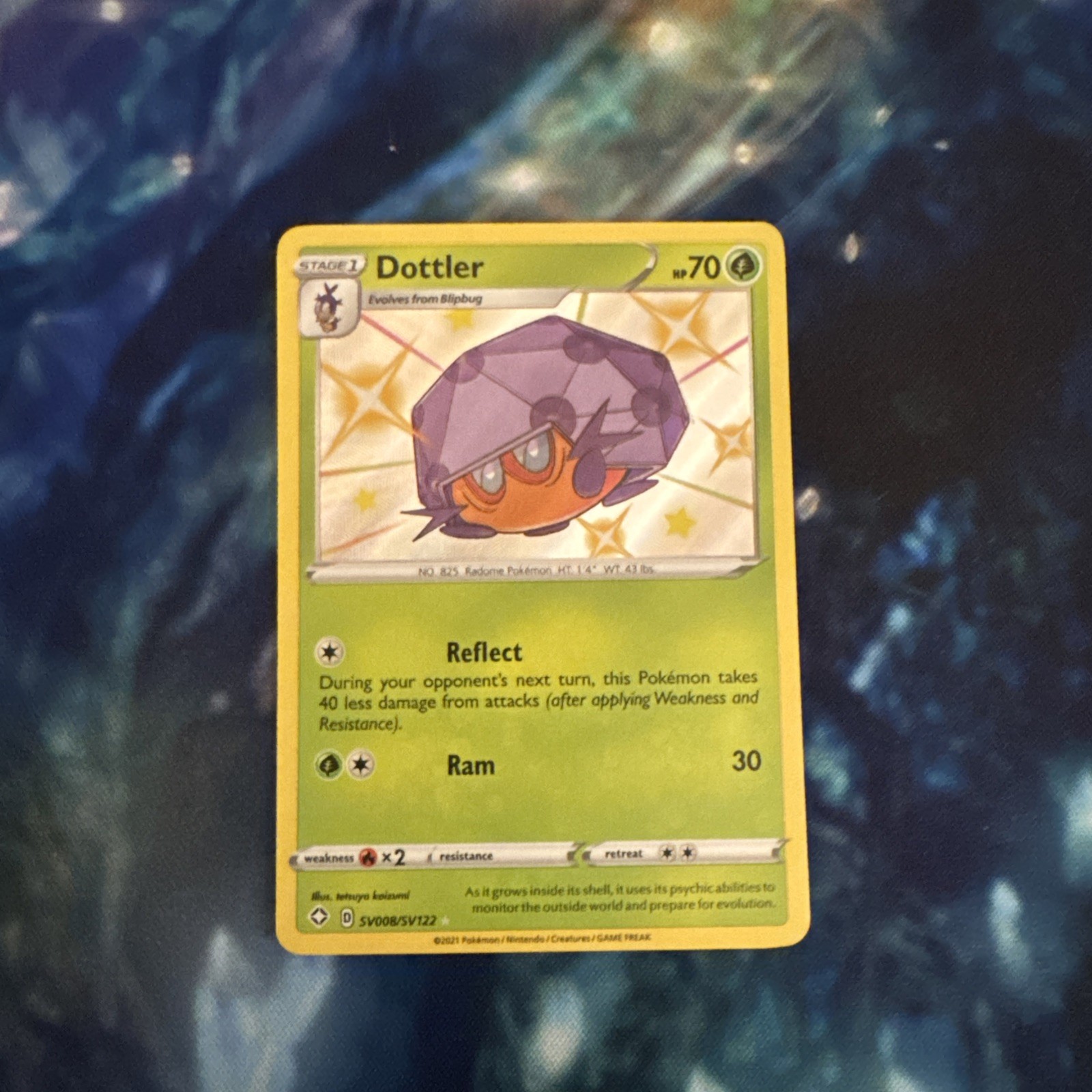 Dottler SV008/SV122 Shining Fates: Shiny Vault NM Baby Shiny English Holo
