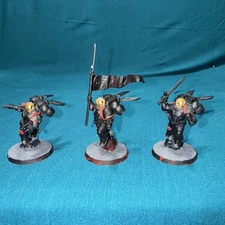 40k Blood Angels Sanguinary Guard B