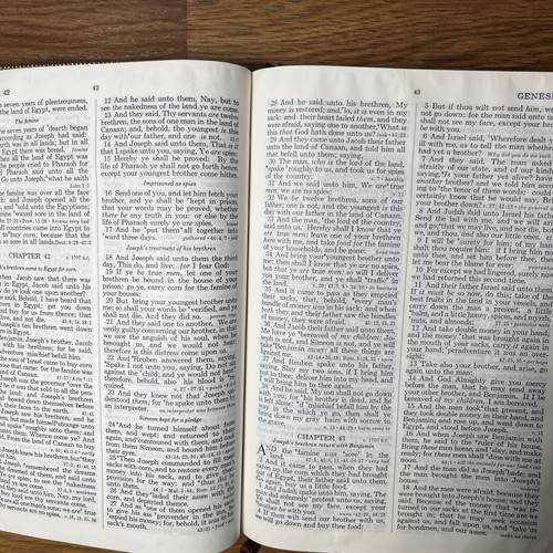 Nelson Holy Bible KJV It Is Written Heritage Edition 1975 Genuine Leather - Bild 11 von 19