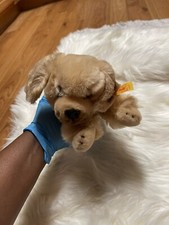 Steiff Stuffed Animal Dog Golden Retriever Hektor With All Tags