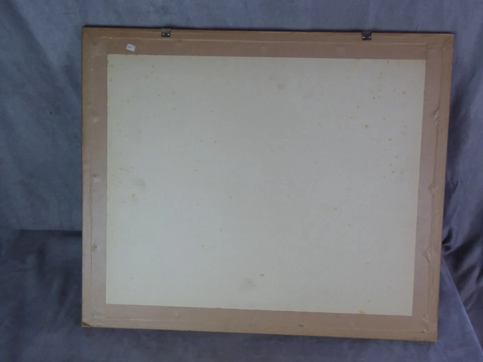 Grande PHOTOGRAPHIE COLORISEE ancienne: CHARNAUX frères & Cie: GENEVE. - Photo 2/4