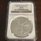 2014 W Burnished American Silver Eagle NGC MS70