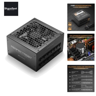 Vollmodulares ATX 3.1-Netzteil, 80 Plus Gold Effizienz, PCIe 5.1 & 12VHPWR-Un...