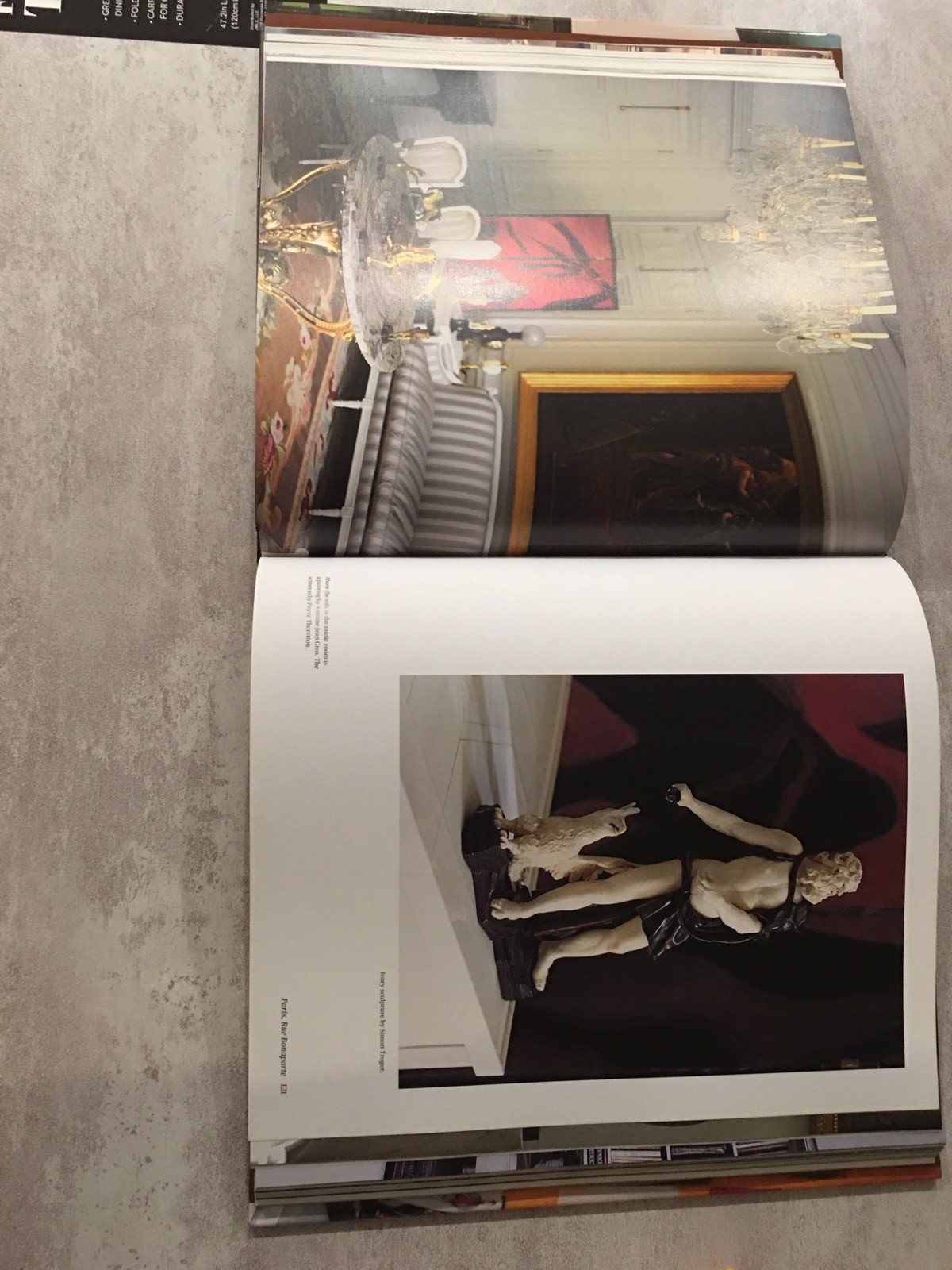 Private World of Yves Saint Laurent and Pierre Berg by Robert Murphy (2009,... thumbnail 4