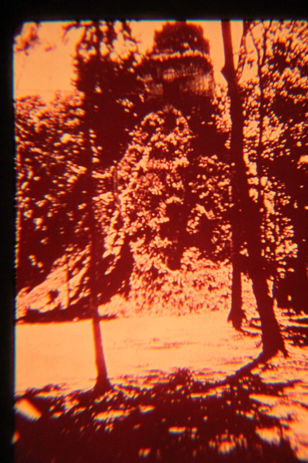 Foto 12 di 19