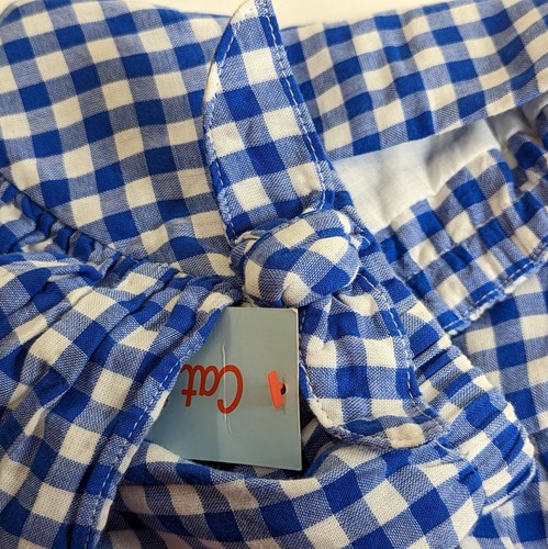 Cat and Jack Girl size 14 Blue White Check Gingham Ruffle Lined Skirt Whimsical - Picture 10 of 10