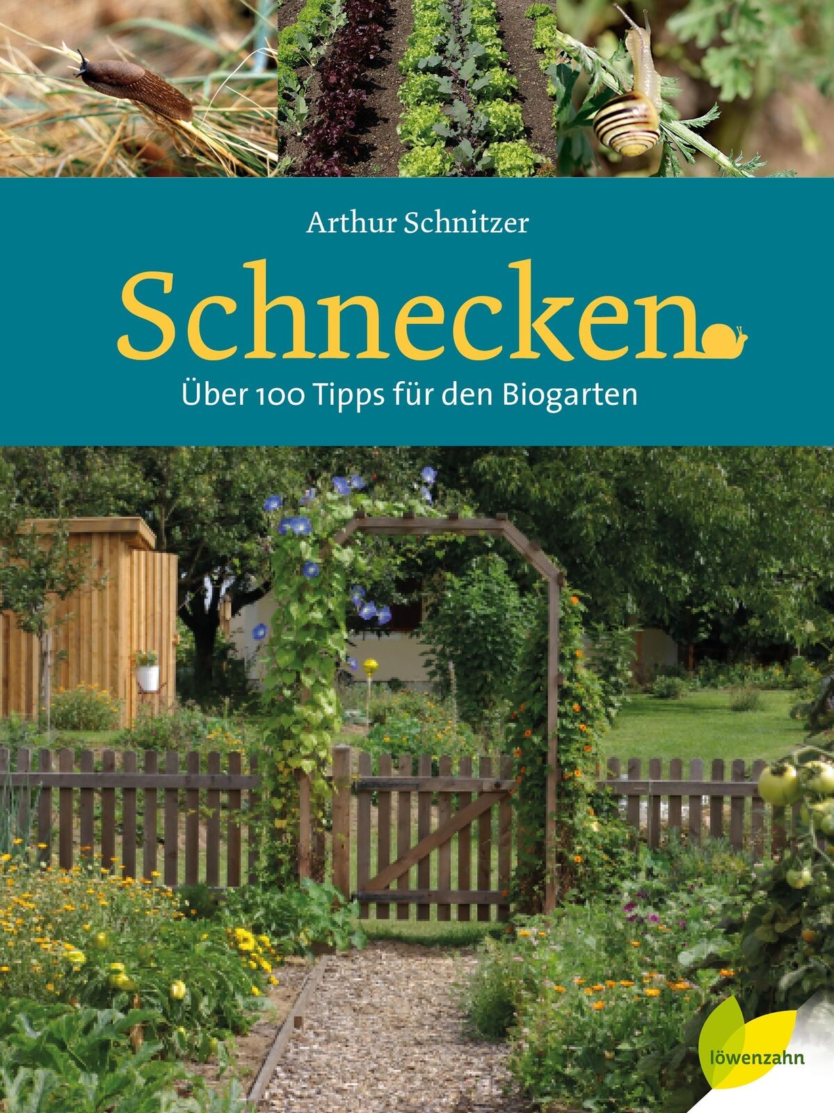 Thumbnail - Arthur Schnitzer Schnecken