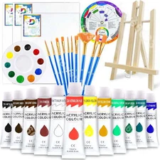 Acrylic Paint Set for Adults & Kids Art Painting Supplies Kit 28PCS Art Supplies