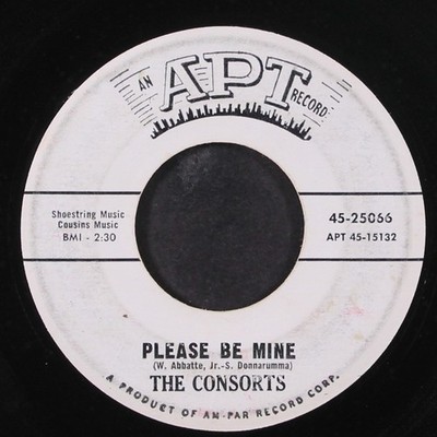 CONSORTS: please be mine / time after time APT 7'' Single 45 RPM