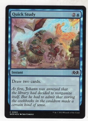 MTG Wilds Of Eldraine Foil Karte #65 Quick Study