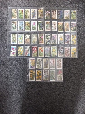 Vintage 1964 Brooke Bond Tea Cards - Wild Flowers Series 3 - Full Set Of 50