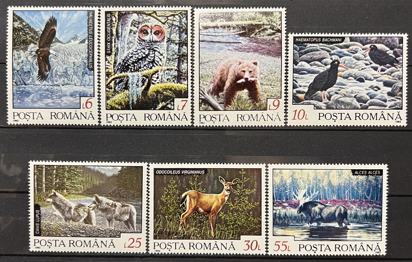 Romania Stamps - Fauna of the Northern Region_1992 - MNH. | eBay