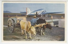 Plane Postcard American Airlines Flagship Airplane & Oxen c1948 vintage C26