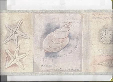 * WALLPAPER BORDER SHELLS STARFISH NAUTICAL OCEAN BEACH TROPICAL NEW ARRIVAL 