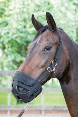 Harrys Horse ''Fressbremse Air''  Maulkorb  Größen S - XL  --- Stark reduziert !!!