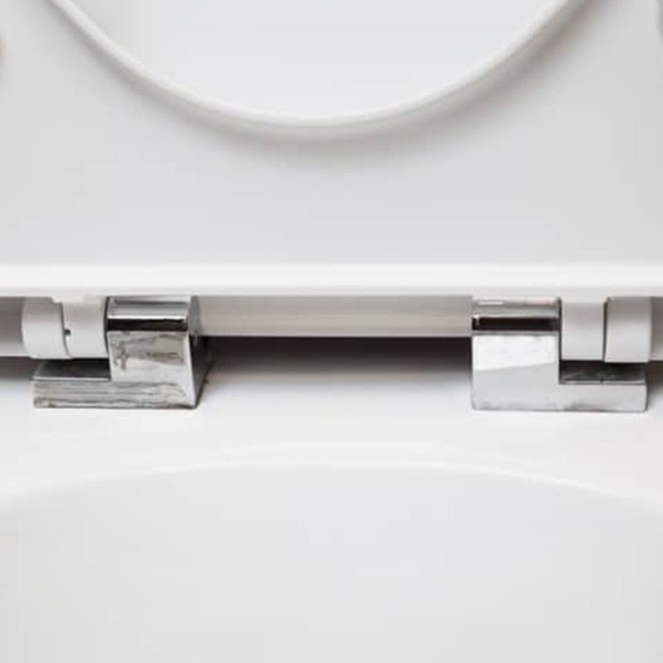 Toilet Seat Rotary Damper Hinge, Hydraulic Soft Close, Noise Reduction