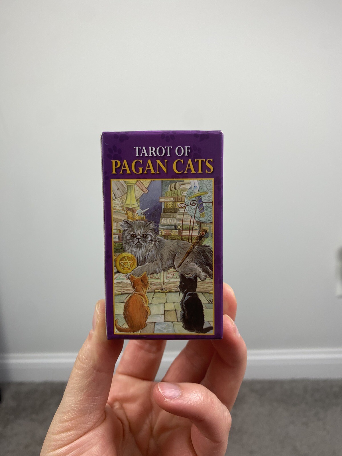 Cat Taroh Cards