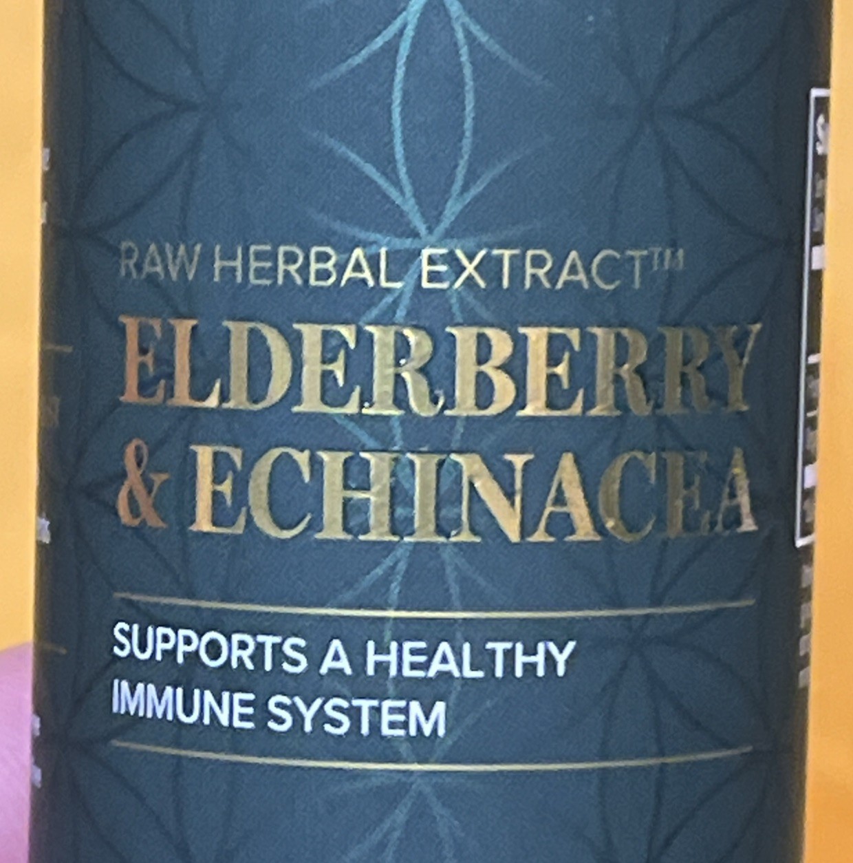Global Healing USDA Organic Elderberry & Echinacea Liquid Supplement (2 Oz)